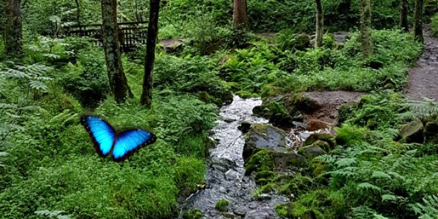 HOLISTIC HEALTH is KEY